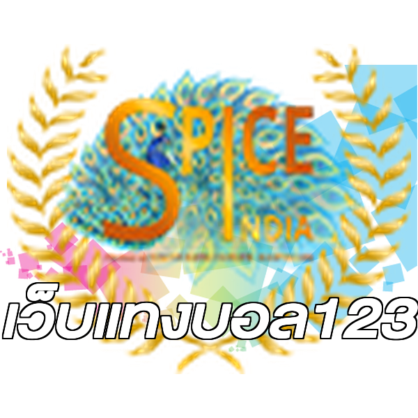 เว็บแทงบอล123
